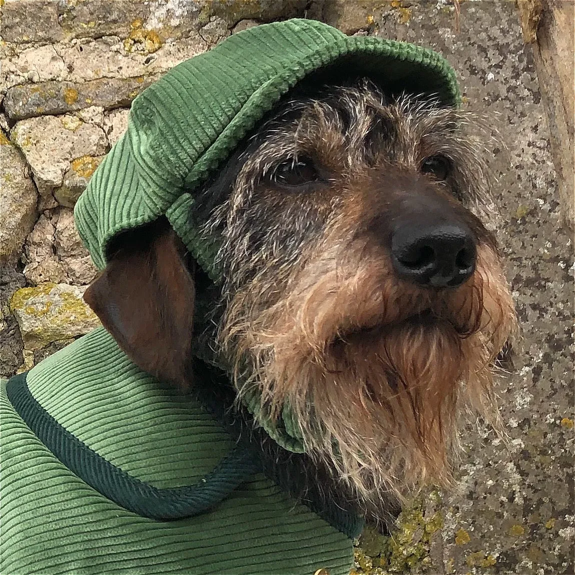 Arnold Sage Green Wide Wale Corduroy Dog Jacket