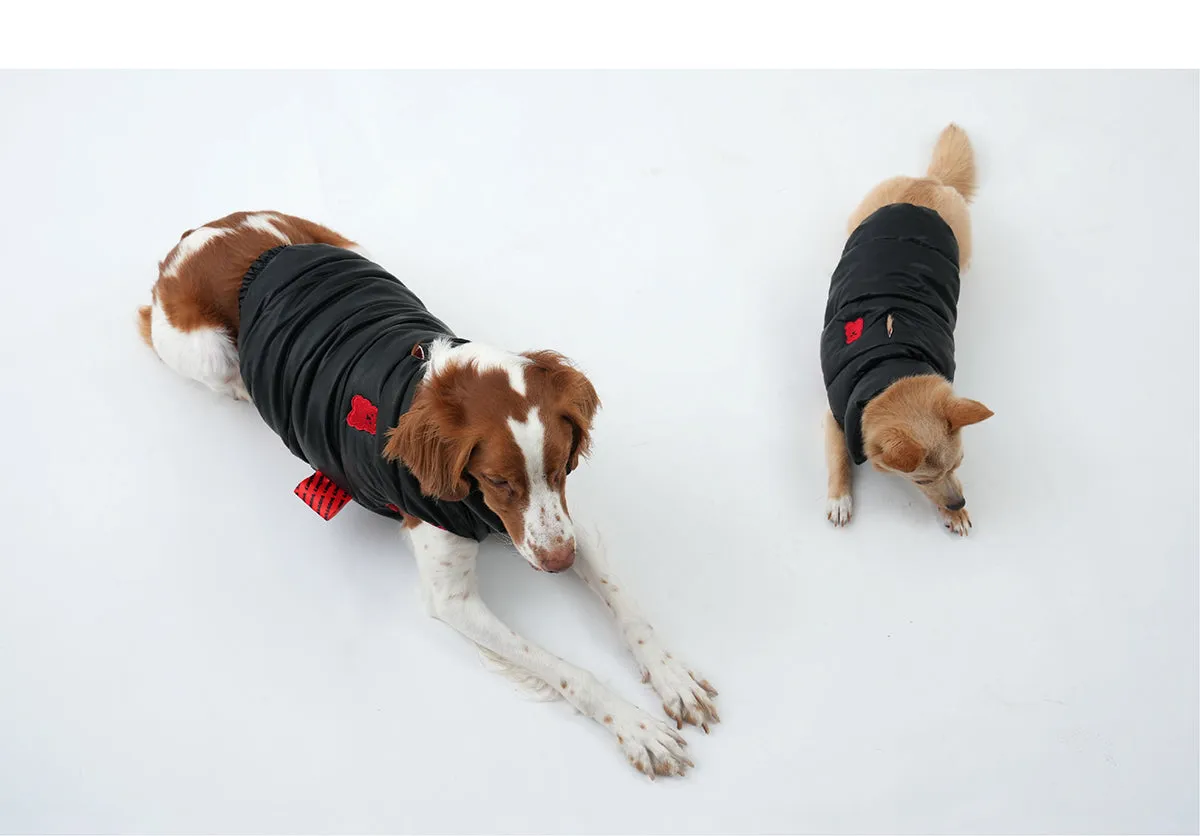 Korean Design Waterproof Teddy Bear Winter Eco Leather Puffer Jacket for Dogs / Cats