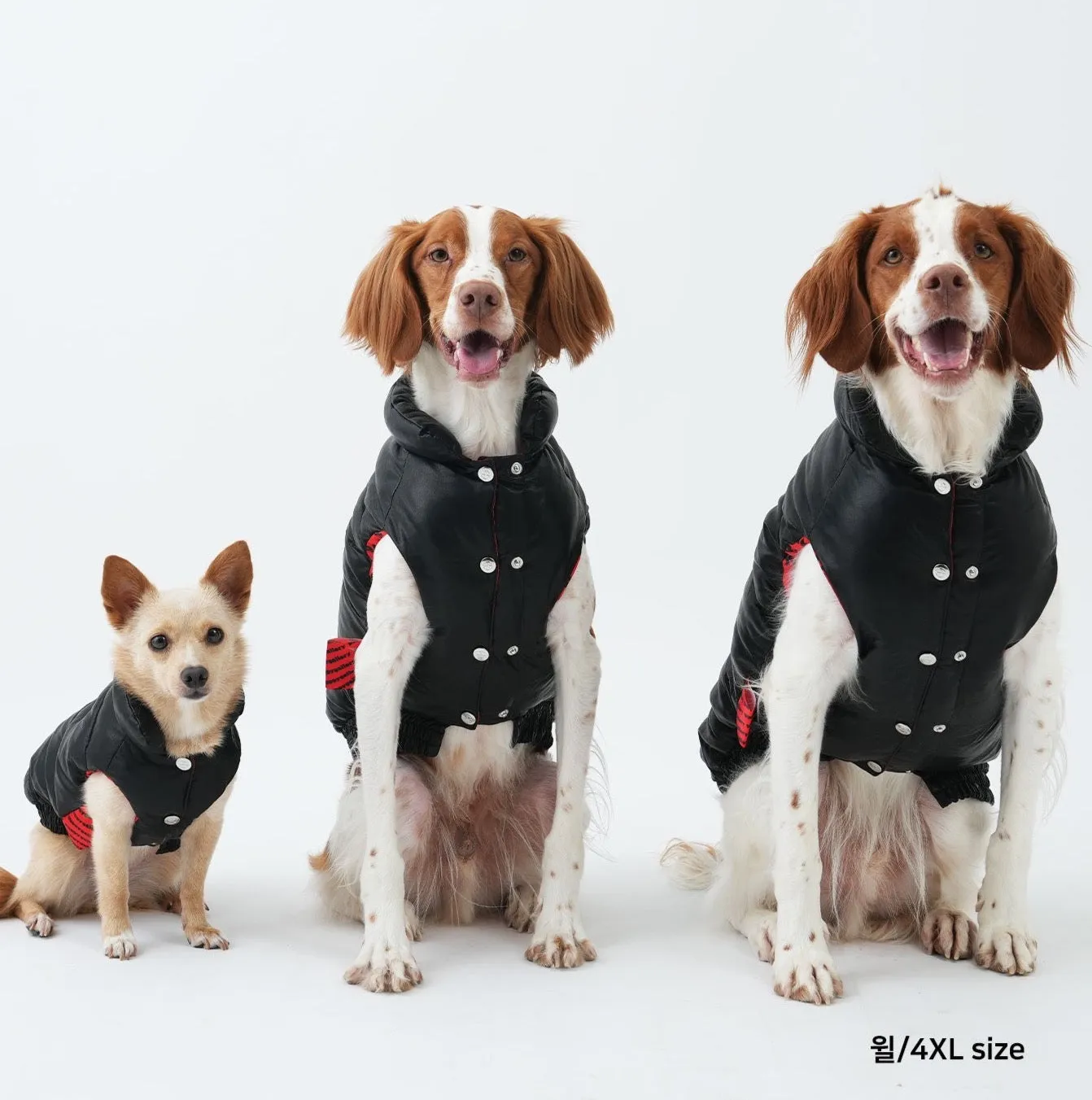 Korean Design Waterproof Teddy Bear Winter Eco Leather Puffer Jacket for Dogs / Cats