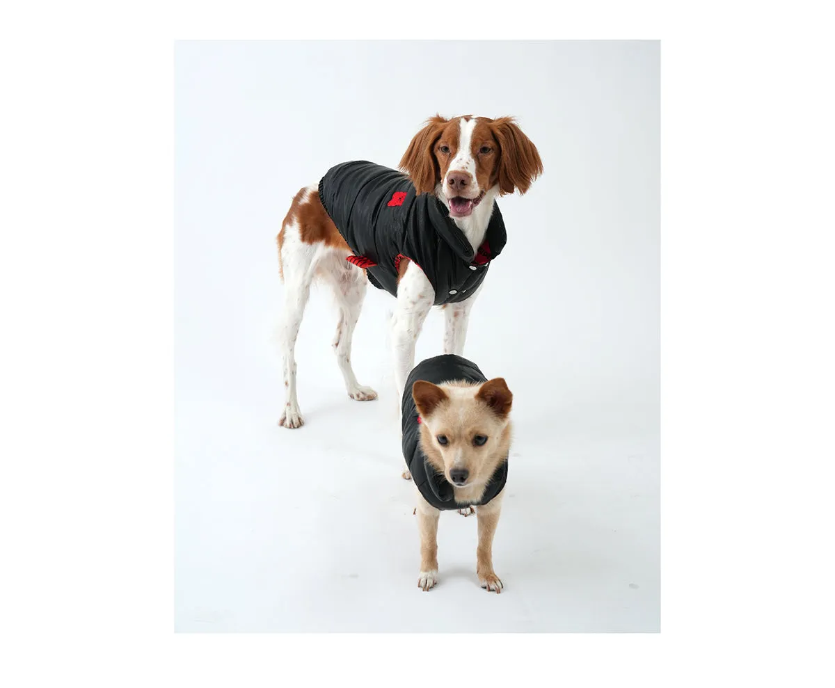 Korean Design Waterproof Teddy Bear Winter Eco Leather Puffer Jacket for Dogs / Cats