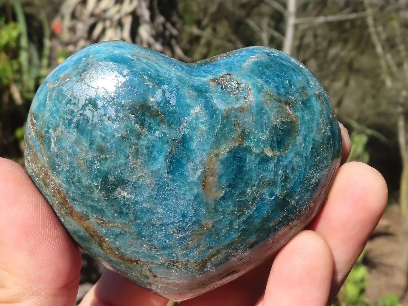 Polished Blue Apatite Hearts (Stone Sealed) x 6 From Madagascar