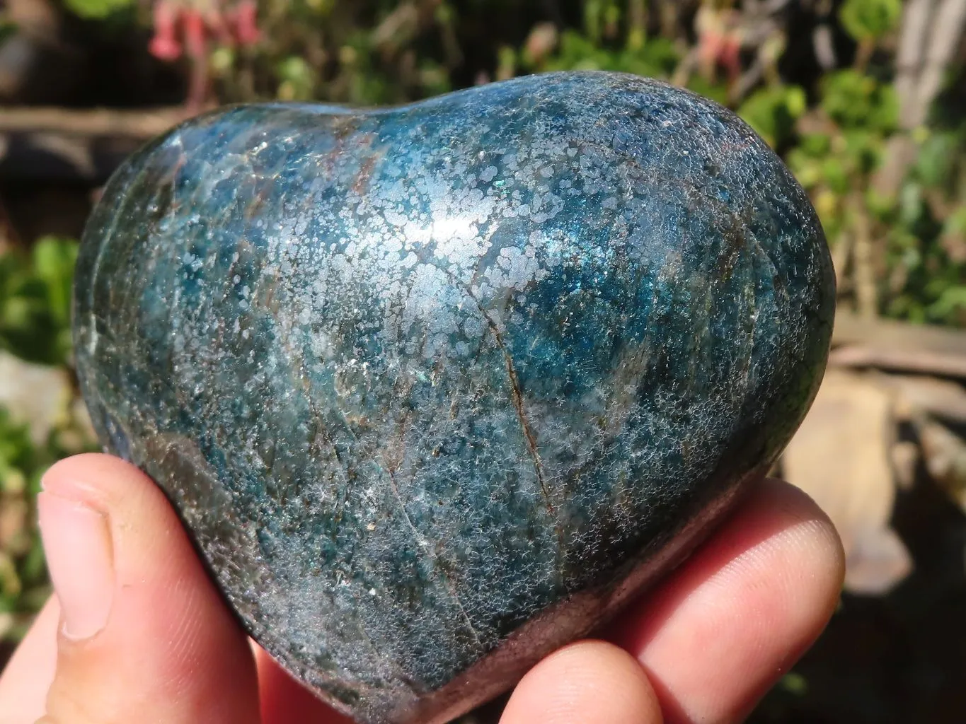 Polished Blue Apatite Hearts (Stone Sealed) x 6 From Madagascar