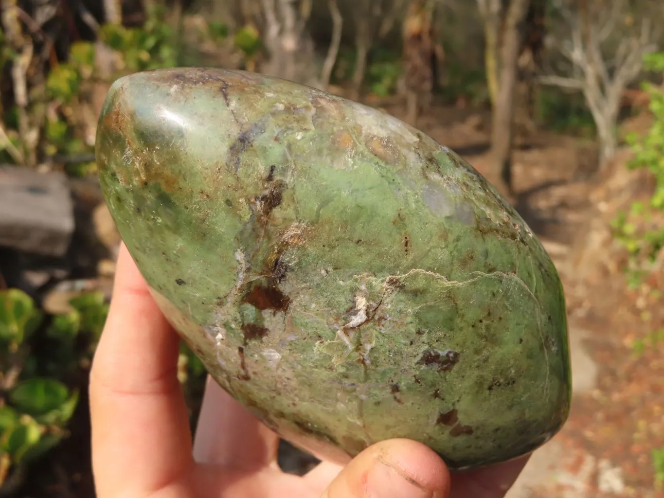 Polished Chrysoprase Standing Free Forms  x 2 From Madagascar