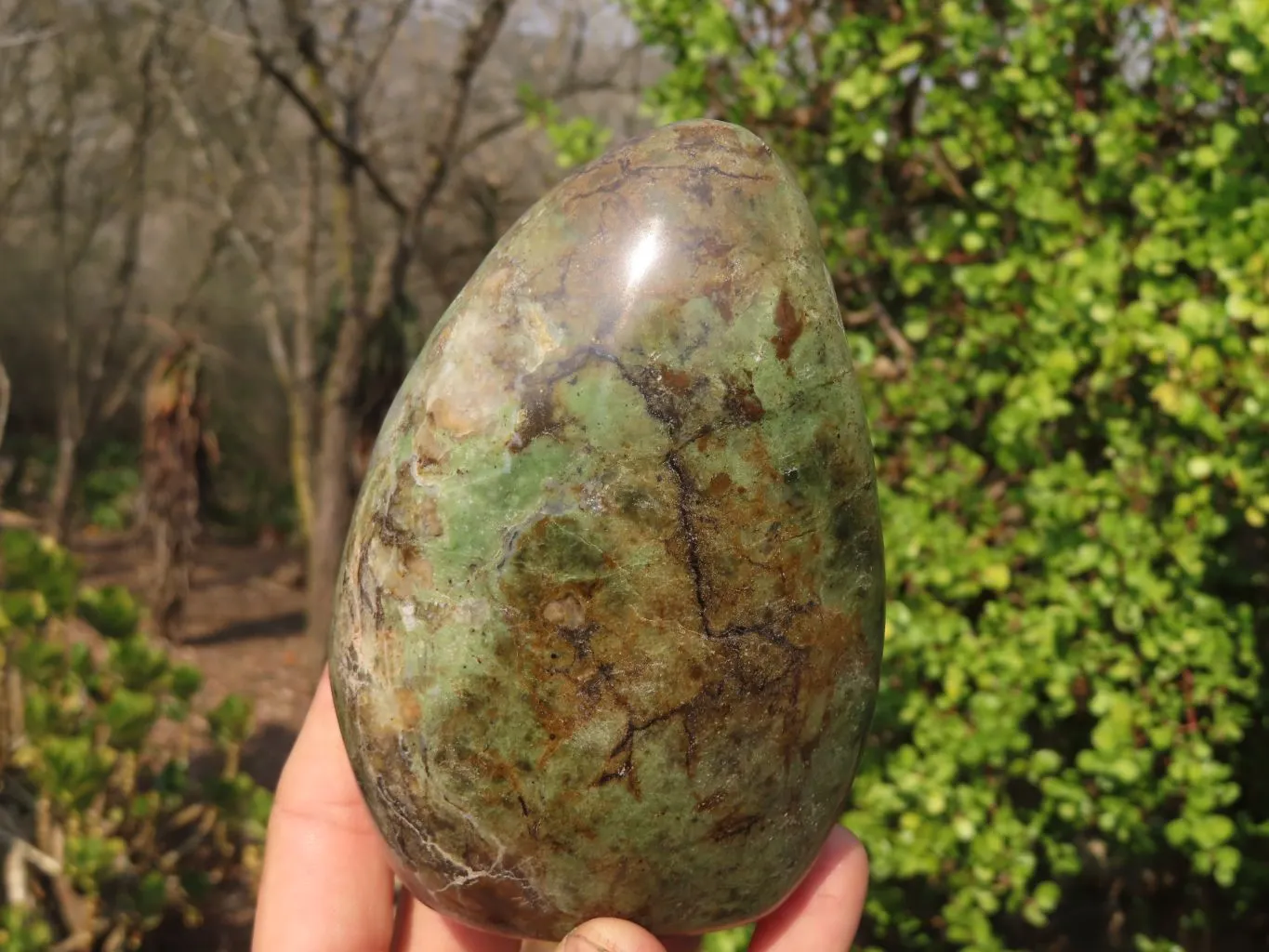 Polished Chrysoprase Standing Free Forms  x 2 From Madagascar