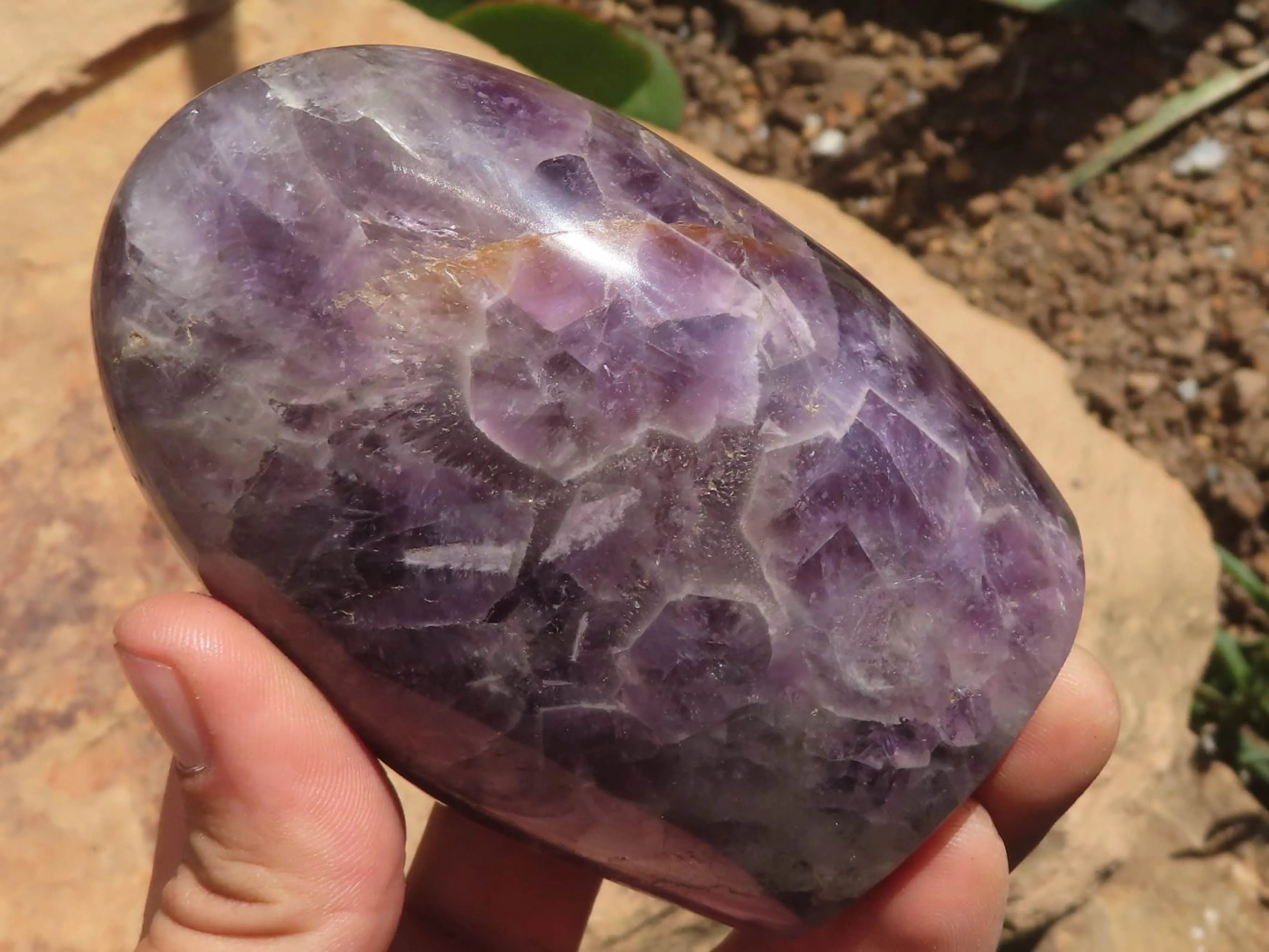 Polished Flower Amethyst Standing Free Forms x 4 From Madagascar