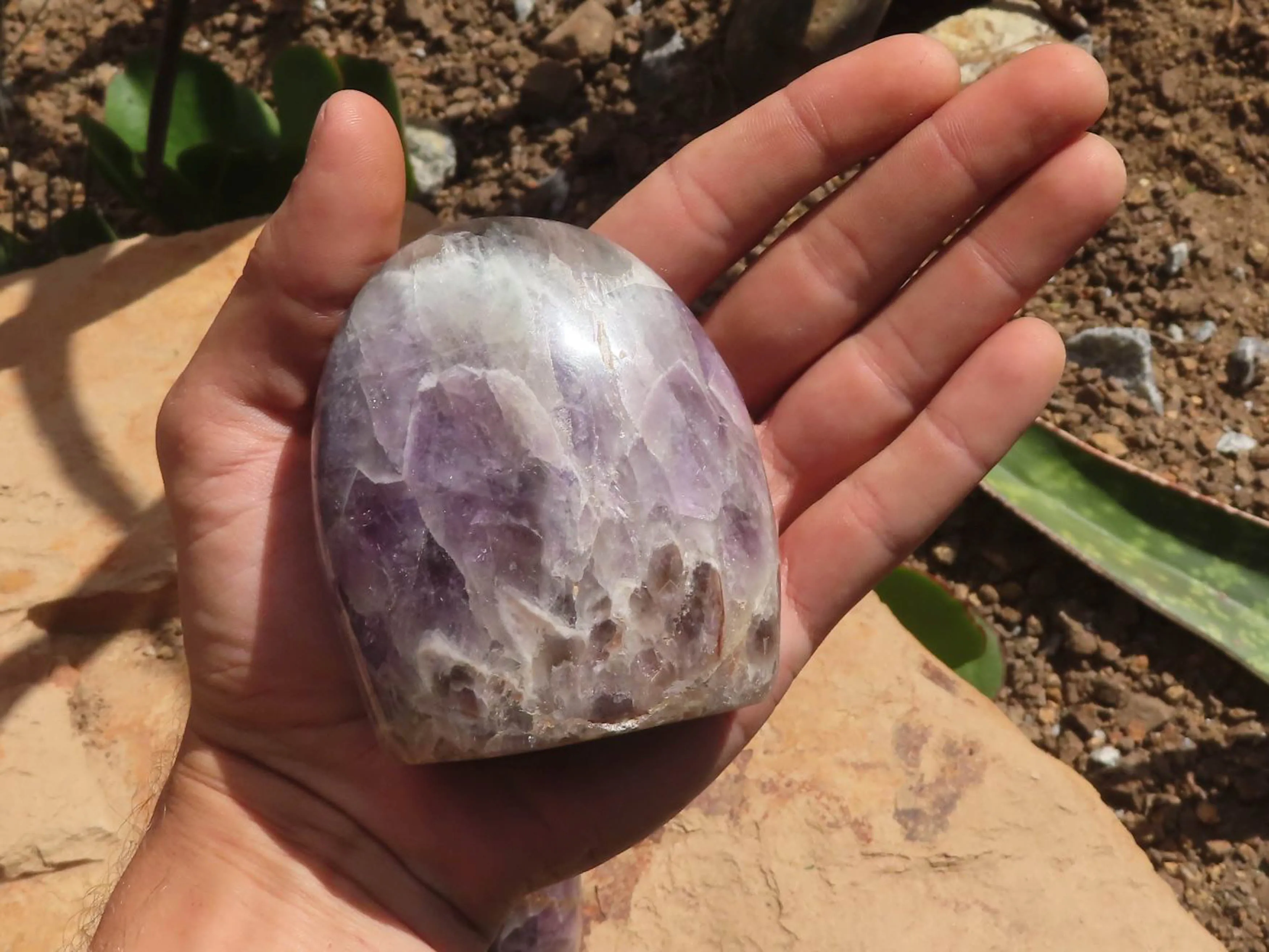 Polished Flower Amethyst Standing Free Forms x 4 From Madagascar