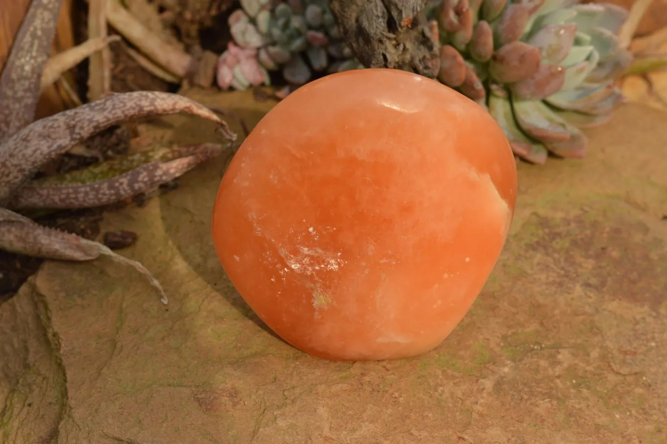 Polished Orange Twist Calcite Standing Free Forms  x 4 From Maevantanana, Madagascar