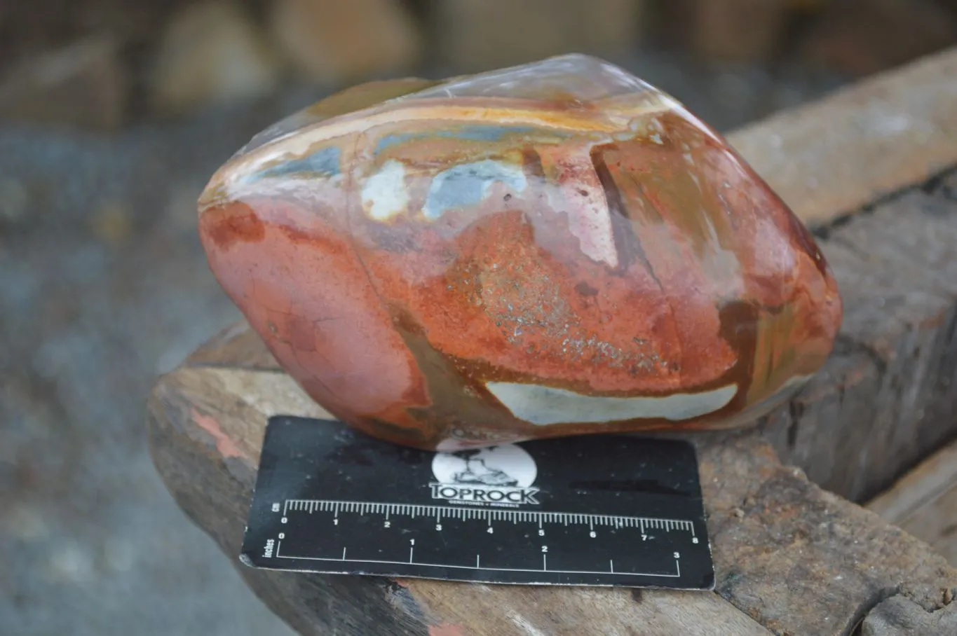 Polished Polychrome Jasper Nodules (Rough Back) x 3 From Madagascar