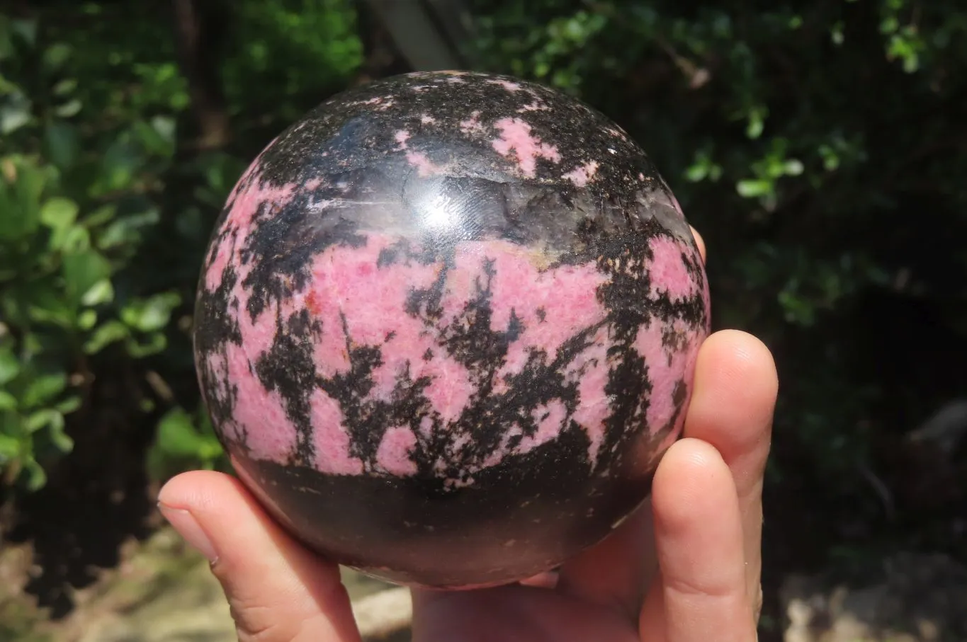 Polished Rhodonite Sphere x 1 From Madagascar