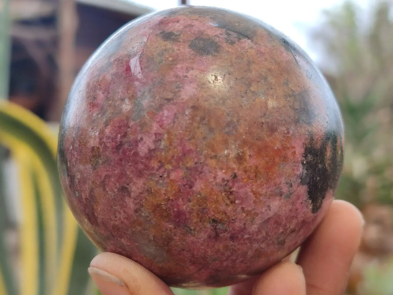 Polished Rhodonite Spheres x 2 From Zimbabwe