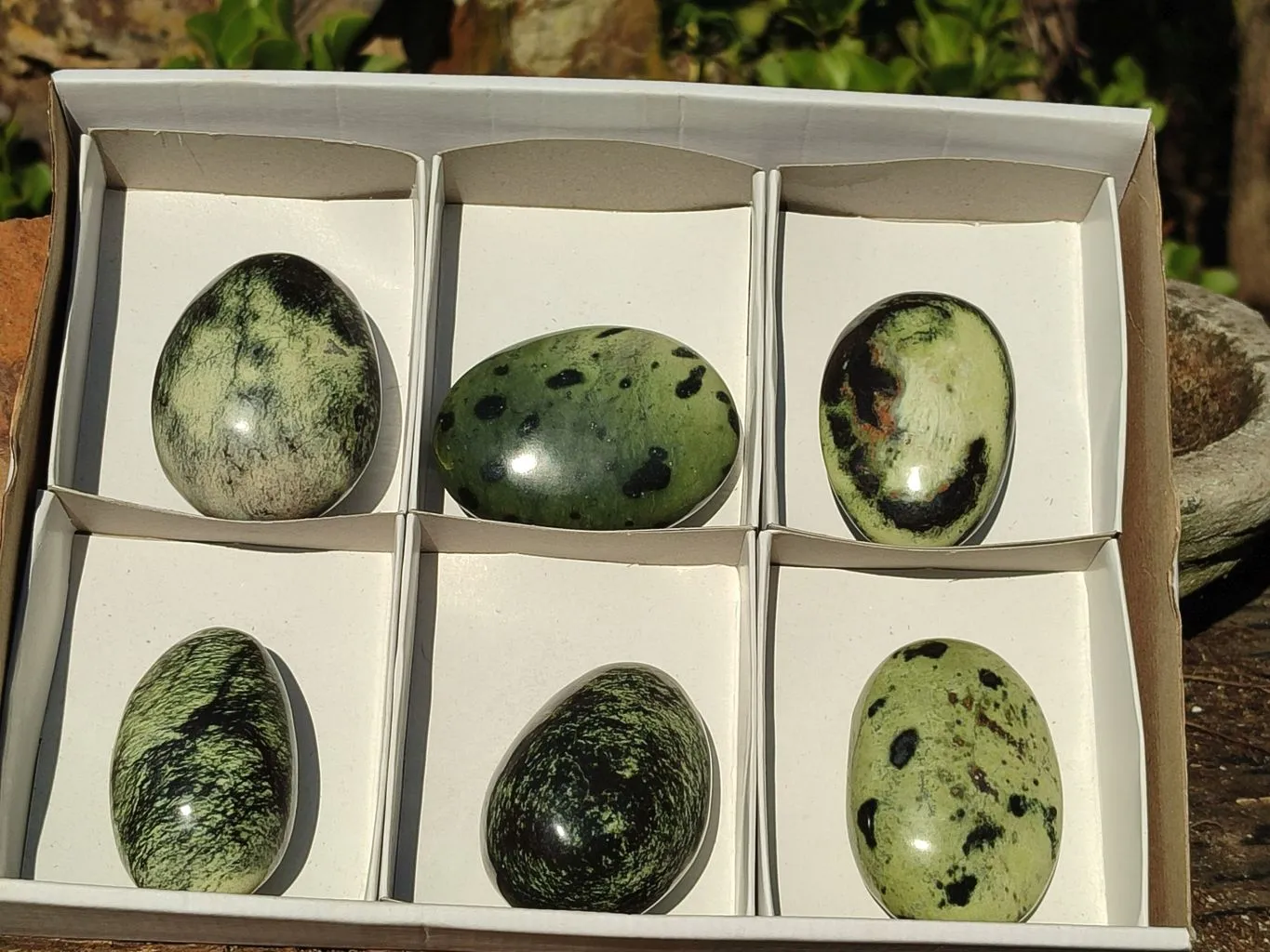 Polished Spotted Leopard Stone Gallets  x 6 From Zimbabwe