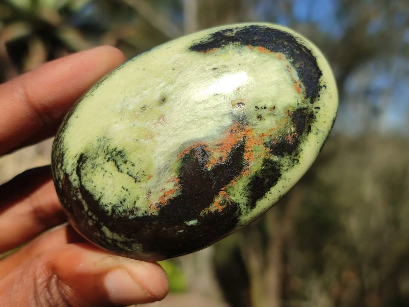 Polished Spotted Leopard Stone Gallets  x 6 From Zimbabwe