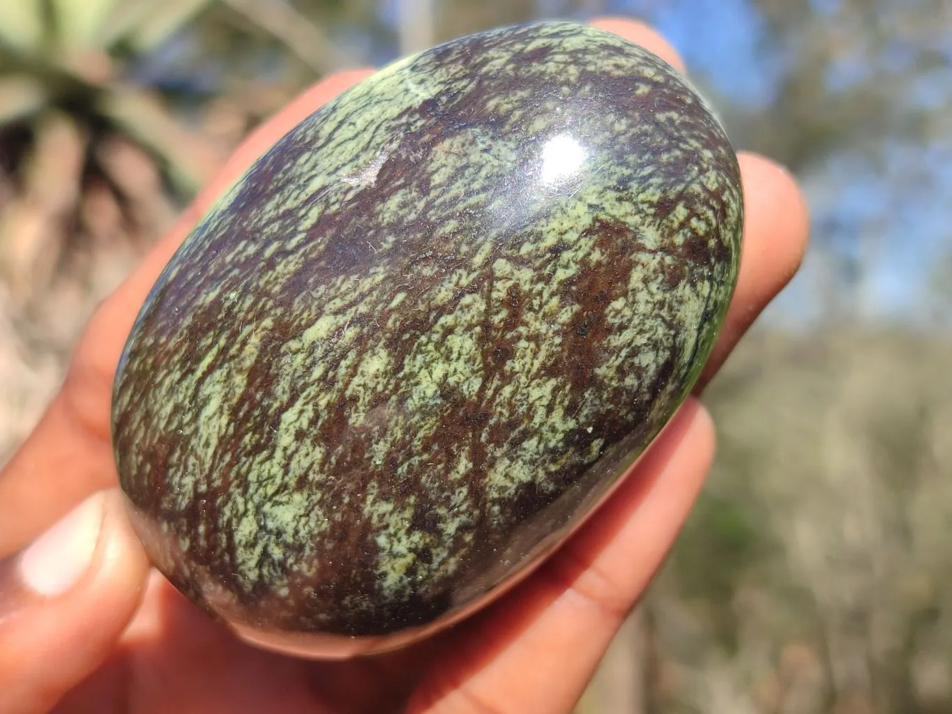 Polished Spotted Leopard Stone Gallets  x 6 From Zimbabwe